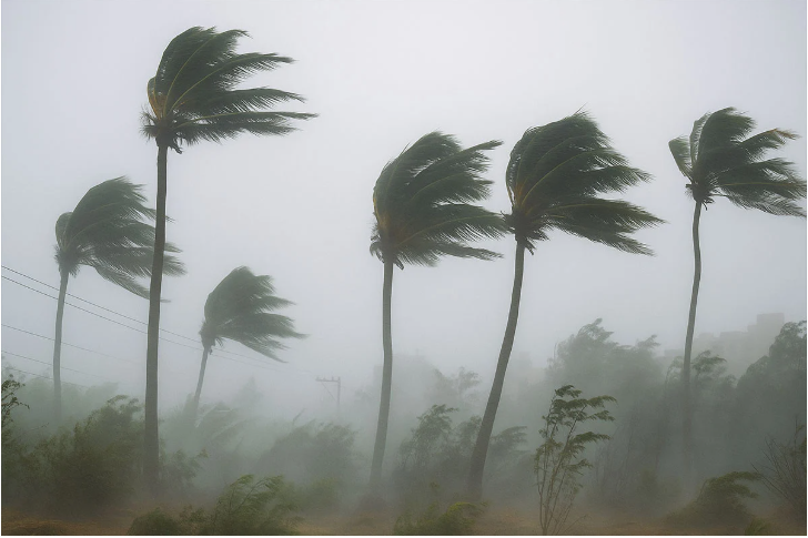 দুপুরের মধ্যে ৭ জেলায় ঝড়ের সম্ভাবনা