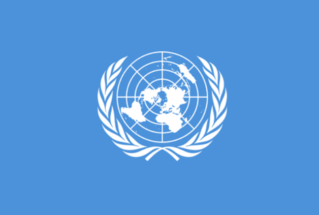 গাজায় আলজাজিরার ৫ সাংবাদিক হত্যার ঘটনায় জাতিসংঘের নিন্দা