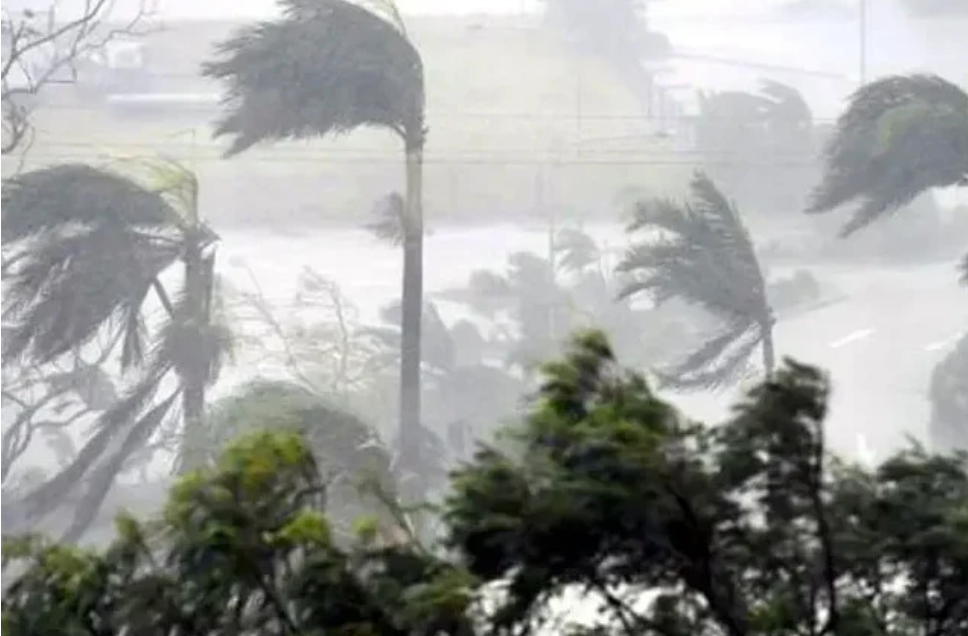 দুপুরের মধ্যে যে ৭ জেলায় হতে পারে ঝড়
